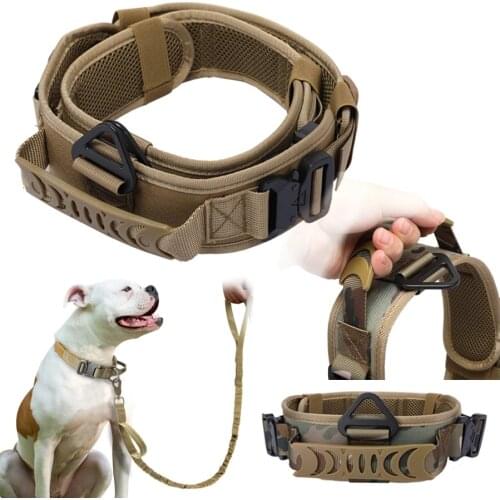Yplgpet Collars