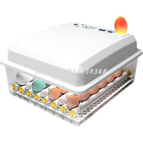 Incubator intelligent incubator automatic household small incubator chicken duck goose pigeon water bed incubator
