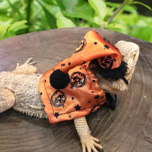Cosplay 1 Set Cute Reptile Halloween Costume Set Clothing Accessories Bearded Dragon Suit Decorative for Theme Party