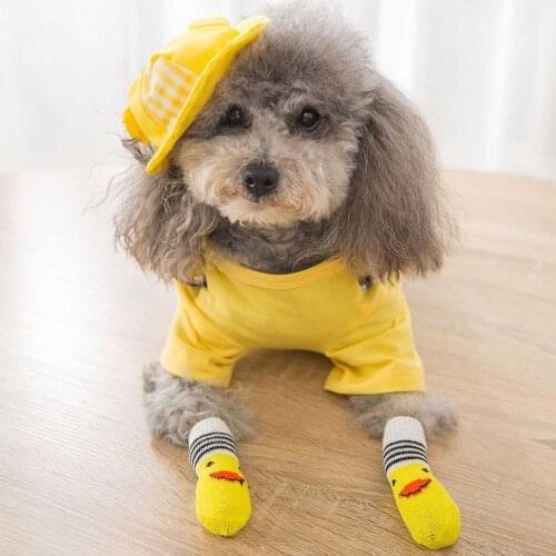 Pecute Socks For Dogs
