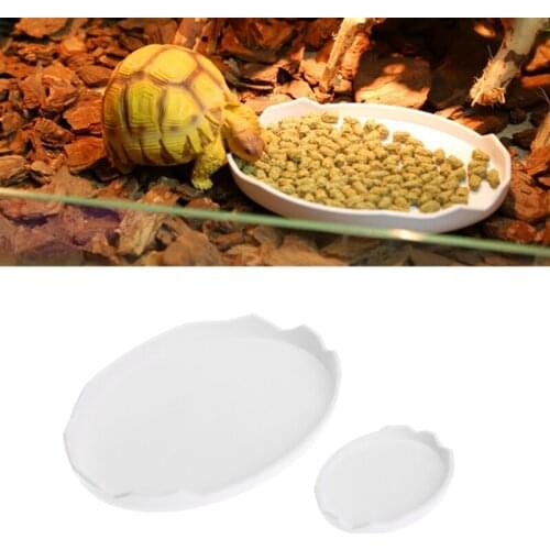 Pet Tortoise Snake Reptile Terrarium Drinking Food Water Bowl Dish Feeder Tool Drop Ship