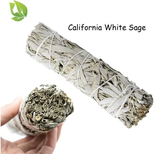 American White Sage Home Air Fresheners Smudge Stick Plant For Room Purification Ignite Mental Massage Relax
