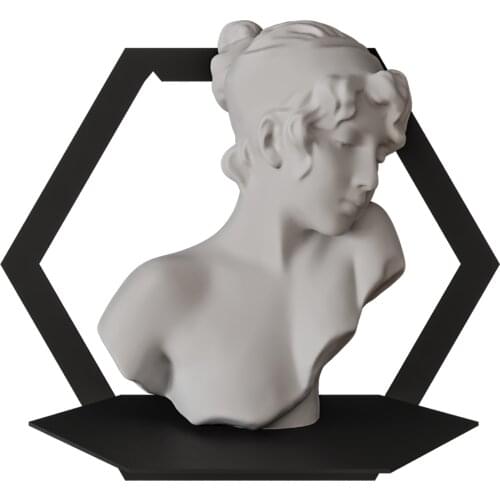 Decorative metal organizer rack wall stand for hexagonal flower pot art bathroom kitchen wall organizers black 2gang Set