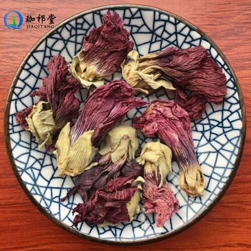 HibiscusMutabilisL. Fu Rong Hua