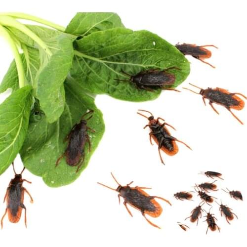 10pcs/lot Special Lifelike Model Simulation Fake Rubber Cock Cockroach Roach Bug Roaches Toy Prank Funny Trick Joke Toys
