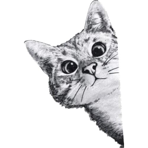 Clothing Patches Funny CAT Pattern Iron On Patches Thermal Transfer Printing DIY Stickers for Clothes Animal Style Decoration