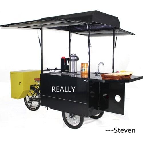 Modern Coffee Bike Electric Adult Tricycle Three Wheels Electric Cargo Bike Mobile Food Cart for Sale