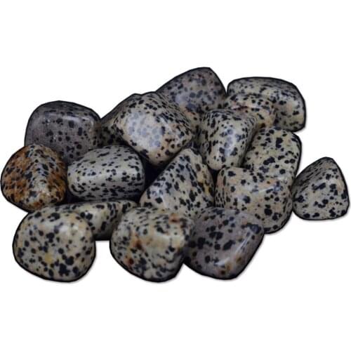 200Gram Natural Gemstone Dalmation Jasper Crystal Bulk Tumbled Stone Chakra Reiki Healing Minerals