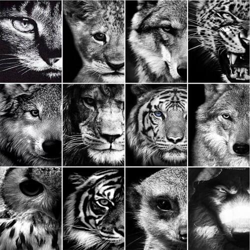 Evershine Full Square Diamond Painting Lion Diamond Embroidery Black And White Animals Picture Of Rhinestone Mosaic Home Decor