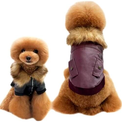 Dog Fur Coat Autumn/Winter Collar 2020 New Dog Teddy Small And Medium-Sized Dog Thick Fur Collars Are In Fashion Pure Color