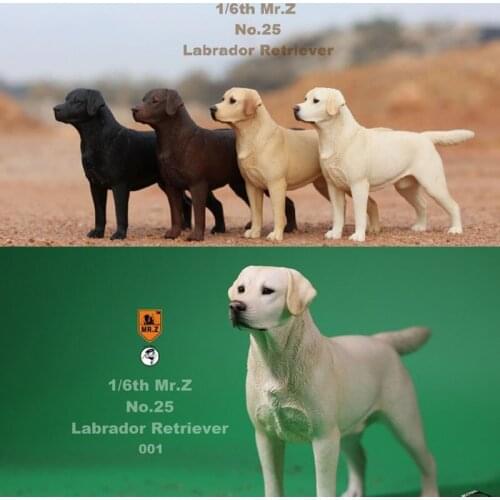 IN STOCK 1/6 MRZ025 Labrador Retriever Dog Model Toys for 1/6 Action Figure