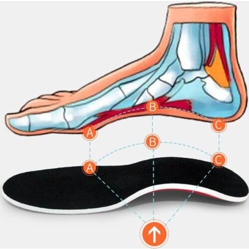 YBpioneer Shoe Accessories