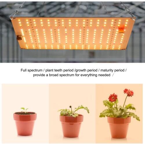 Cycle Zone LED Plant Lamps