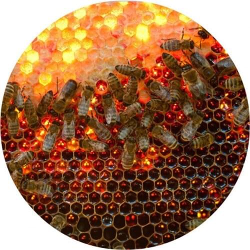 Floor Mat Bee Pattern Realistic Felt 3D Honeycomb Pattern Carpet for Home