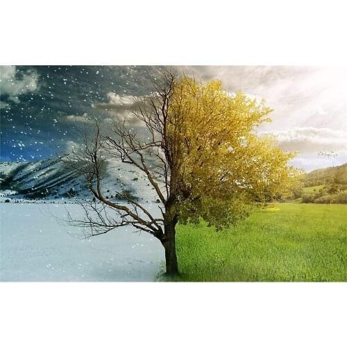 Landscape Tree Printed Canvas 11CT Cross Stitch Kit DIY Embroidery Handiwork Handmade Handicraft Sewing Needle Stamped Festivals
