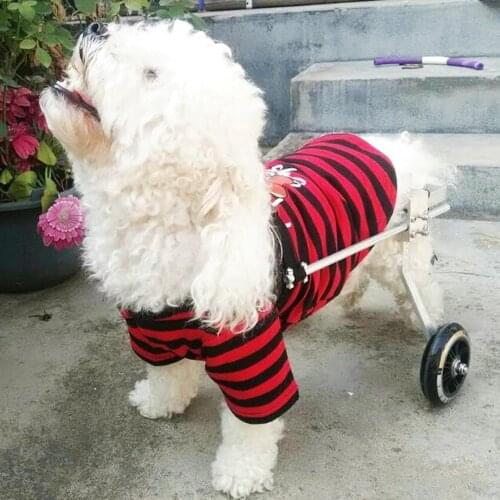 2-Wheel Handicapped Paralyzed Pet Wheelchair / General Paralysis Dog Scooter / Disabled Cat /Dog Rehabilitation Wheelchchair SML