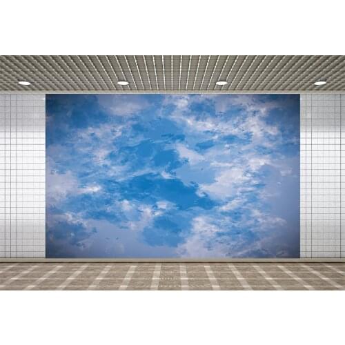 Lyavshi Sky Photography Backdrop Scenery Custom Portrait Studios Background Oil Photozone Photophone Painting Photo Studios