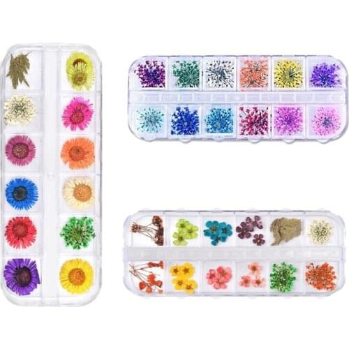 36 Color Nail Art Phototherapy Dried Flower Jewelry Nail Stickers Mixed DIY Decorative Crystal Epoxy Filled Resin Art
