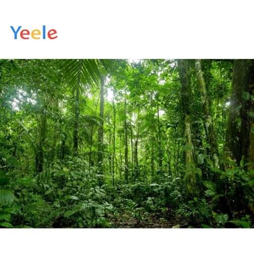Summer Tropical Forest Jungle Green Leaves Nature Scenery Baby Portrait Backdrop Vinyl Photography Background For Photo Studio