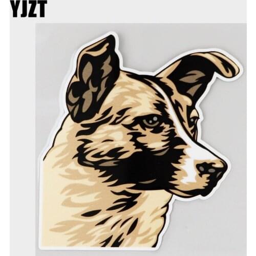 YJZT 11.7CM×12.9CM Lonely Dog Cartoon Gaze Decal PVC Car Sticker 11C-0144