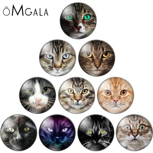 New Cat Face Patterns 10pcs mixed 12mm/14mm/16mm/18mm/20mm/25mm Round photo glass cabochon flat back Making findings