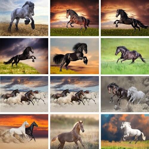 5D DIY Diamond Painting Animal Cross Stitch Kit Full Diamond Embroidery Horse Rhinestone Picture Mosaic Home Decoration Gift