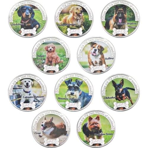 WR 10pcs Pets Dog Silver Coins Collectibles with Coin Holder Animal Double Sided Original Coin Funny Gift Dropshipping