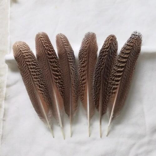 10Pcs/lot!12-14inches Peacock Wing Quills, Large Mottled Peacock Feathers,Peacock Wing Feathers,peacock feathers