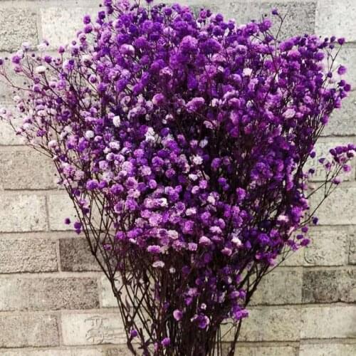 100g Big Bunch Baby Breath Natural Dried Preserved Gypsophila Flower Decor Home Wedding Bouquet Mothers Day Gift Craft
