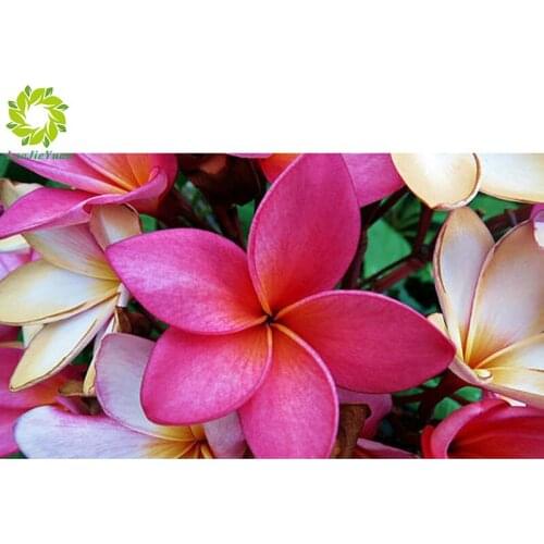 Diamant Painting 5D DIY Diamond Painting Full Square Drill "flower" Embroidery Cross Stitch gift Home Decor Gift