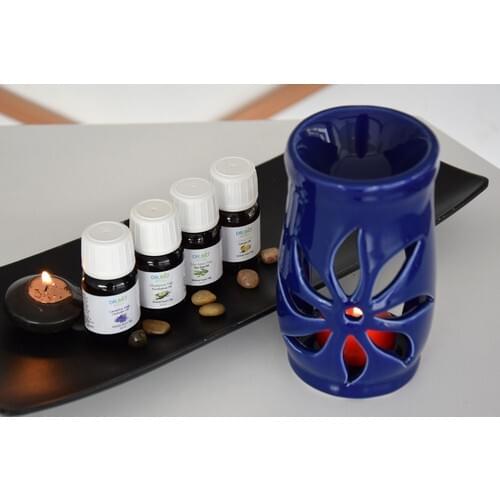 Dr. Bio Aromatherapy Blue Censer and 4'lü Oil Set