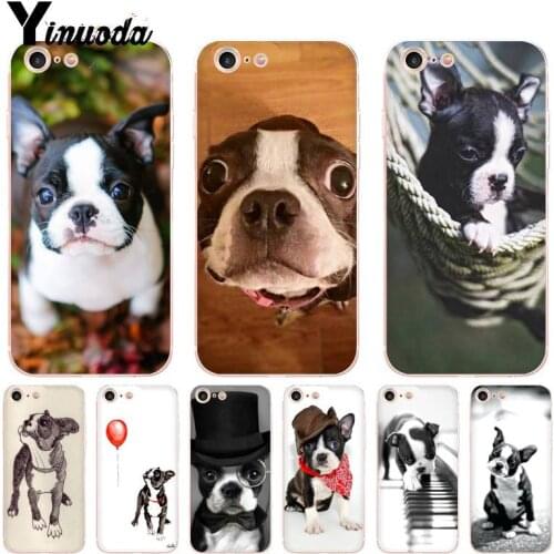 Yinuoda For iPhone 7 Case Boston Terrier Pet Dog Puppies Transparent Phone Case for iPhone 8 7 6 6SPlus X 10 5 5S SE XR XS XSMAX