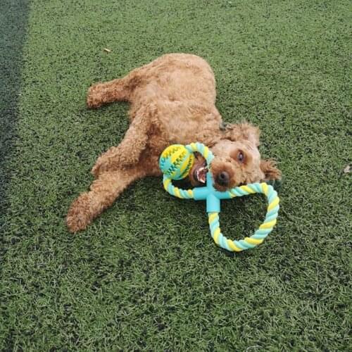 Pet Toys Dog Toys Interactive Elasticity Ball Natural Rubber Leaking Ball + Dog Toy Cotton Rope Tooth Clean Ball Cat Dog Chew