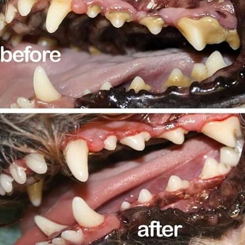 1PCS Pet Breath Freshener Spray Dog Teeth Cleaner Dog Cat Oral Healthy Dental Care Pet Dog Supplies Stain Odor Removers Cleaning