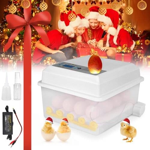 220V Eggs Incubator Brooder Birds Quail Chicken Hatchery Poultry Hatcher Machine Digital Display Humidity Control Automatic Turn