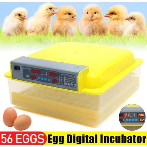 56 Eggs Incubator Hatcher Brooder Bird Quail Incubator Chick Hatchery Incubator Poultry Hatcher Turner Automatic Farm Tools