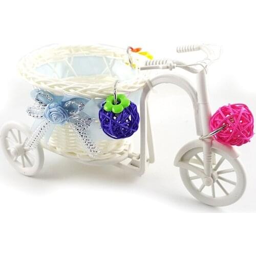 Bird Mini Bike Trolley Shopping Cart with Rattan Balls for Medium and Small Parrots Intelligence Growth Training