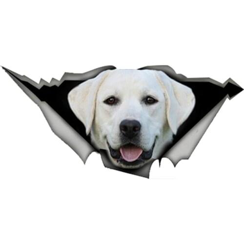 Dawasaru White Labrador Torn Metal Car Sticker Personalized Decal Laptop Motorcycle Auto Accessories Decoration PVC,13cm*6cm