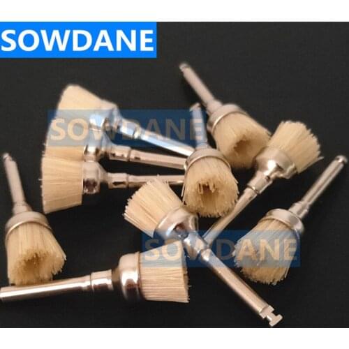 Dental Polisher Brush Material Dental Prophy Polishing Brushes Brush Flat Bowl Junior RA Bristle