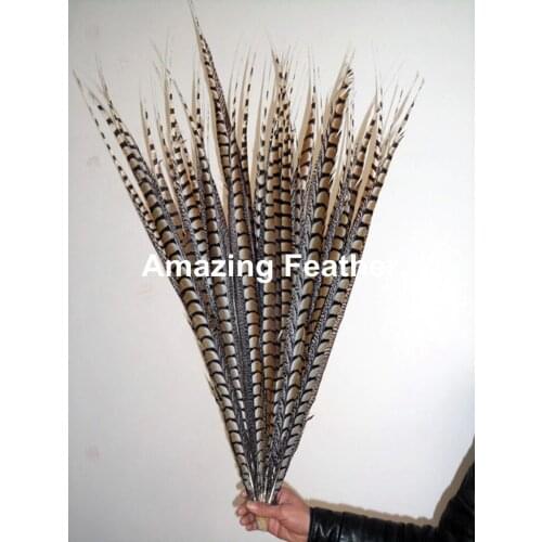 EMS Free Shipping 90-100cm 35-40 inches 50pcs Natural Color ringneck Lady Amherst pheasant tails pheasant feather