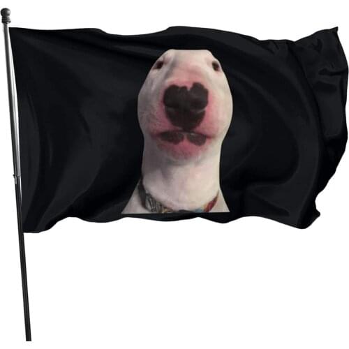 Walter (Dog Meme) Outdoor Garden Flag Indoor Flag Home Decor Standing Farm Flag Banner 3x5ft, One Size