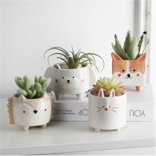 LUOSB Glass Pots