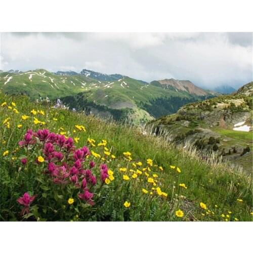 Flower Landscape Printed Fabric 11CT Cross Stitch Kit DIY Embroidery DMC Threads Knitting Handicraft Craft Handmade Decor