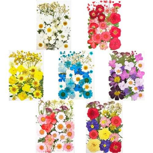 Real Dried Pressed Flowers Leaves Petals for Crafts - Colorful Pressed Flowers for DIY Candle Resin Jewelry Nail Pendant Crafts