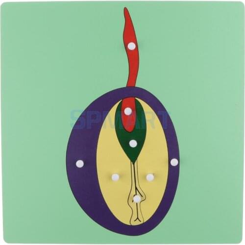 Montessori Wooden Nature Materials Germinant Seed Plant Animal Puzzle for Baby Toddler Early Preschool Educational Learning Toy