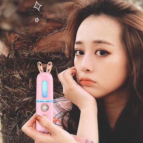 Dropshipping Deer/Rabbit Design Facial Humidifier Portable Cartoon USB Charging Air Facial Humidifier Moisturizing Mist Sprayer