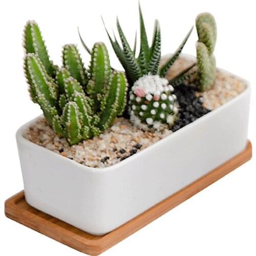 Flowerpots Ceramic Pot Bonsai Home With Drainage Hole White Rectangular Desk Bamboo Indoor Outdoor Garden Tray Succulent Planter