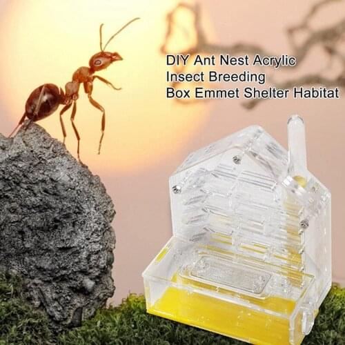MLGB Ant Nest Ant Farm Acrylic Farm Insect Cage Display Space for Ant Feeding Ant Feeding Farm House Ants Moisturizing Den