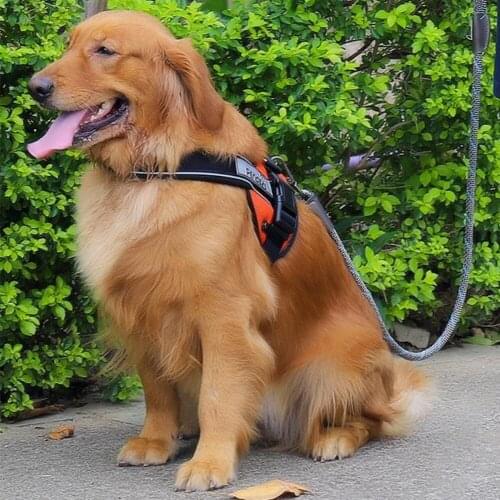 Running Dog Leash Nylon Hand Freely Pet Products Dogs Harness Collar Jogging Lead Adjustable Waist Leashes Traction Belt Rope