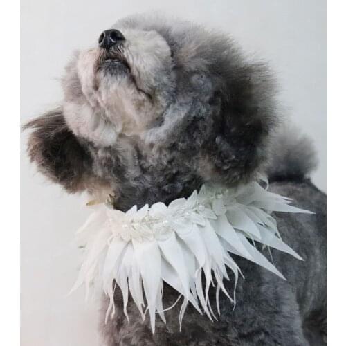 Pet Dog Collar Necklace Small Dog Collar for Cats High Quality Leather Feather Pet Adjustable Cats Collar Dog Accessories E06